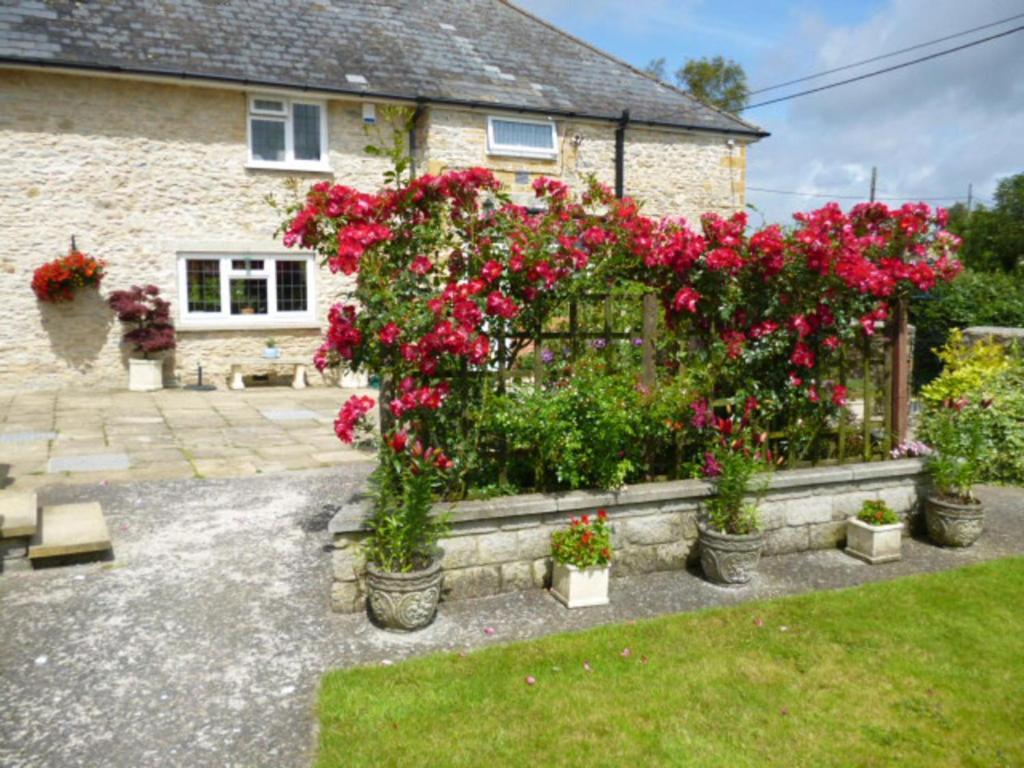 Quiet Woman House Bed & Breakfast Halstock ภายนอก รูปภาพ
